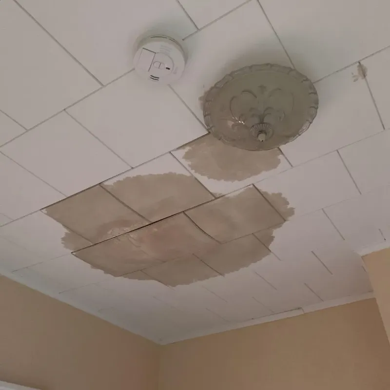 Ceiling Water Damage Repair in Yankton, SD