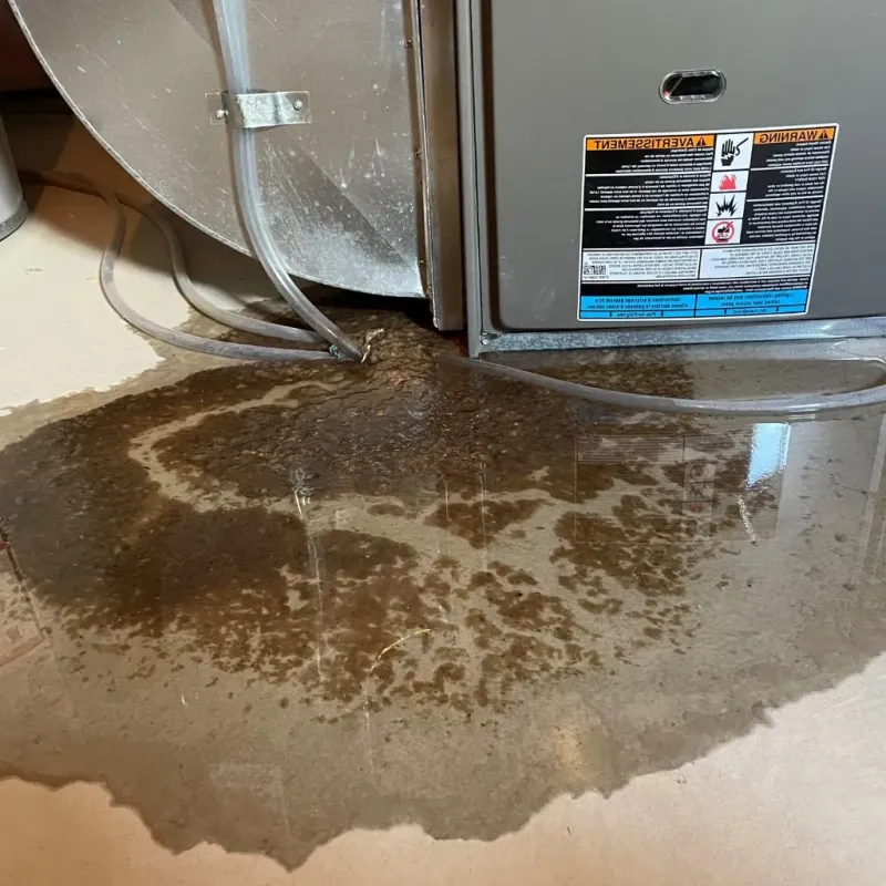 Pipe Burst and Leak Restoration in Yankton, SD